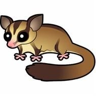 Cartoon Sugar Glider Cinnamon Photo Cut Outs From Zazzle