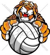 Tiger Volleyball Clip Art N2