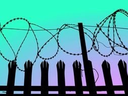 Barbed Wire Fence as a graphic illustration