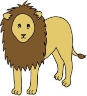 Zoo lion Clip Art drawing