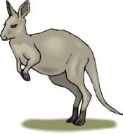 Kangaroo Clip Art N62