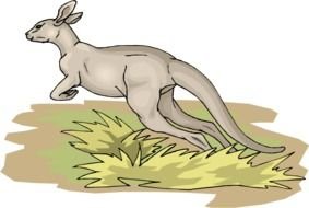 Kangaroo Jumping