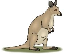 Kangaroo Clip Art N64