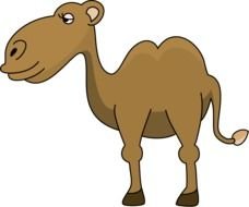 Camel Clip Art N55