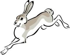 Jack Rabbit Clip Art Free