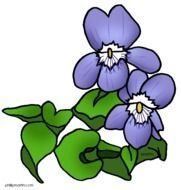 New Jersey State Flower Clip Art