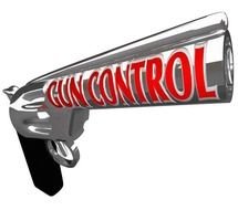 Gun Control drawing