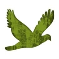 Flying Bird Clip Art N50