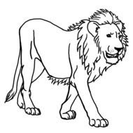 painted lion king of beasts in coloring book