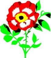 Free Red Rose drawing
