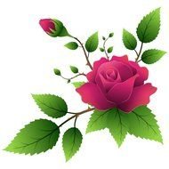 Yellow Rose Flower Clip Art