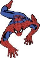 Spider Man Cartoon N13