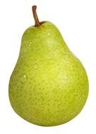 Pear Fruit N2