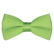 Lime Green Bow Tie drawing