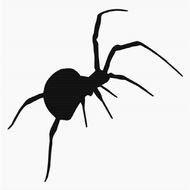 Spider Clip Art N43