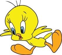 Looney Tunes Tweety Bird Cartoons N2