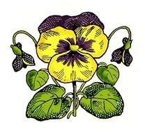Free Spring Flower Clip Art N68