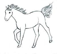 Easy Horse Drawings To Draw