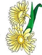 Flowers gold drawing