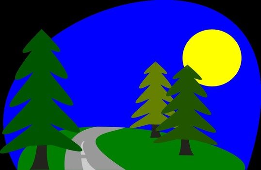 spruce trees at curved roas on sunny day, drawing
