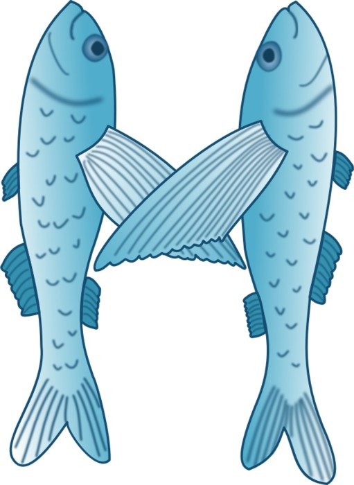 If You Know How Can Separate Them To Get A Single Flying Fish