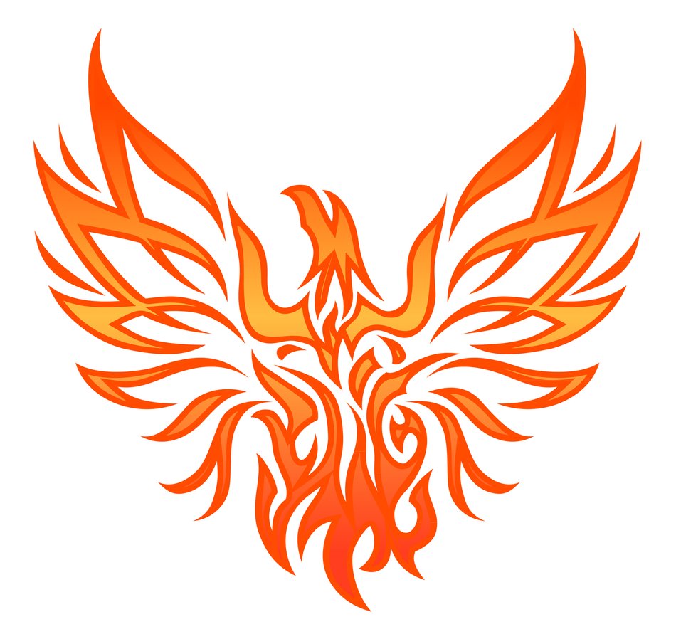 orange phoenix in graphic representation