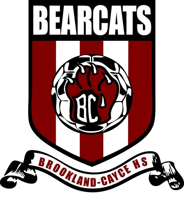 Soccer Shields Logo N4