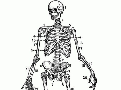 Vintage Skeleton Key Clip Art N5