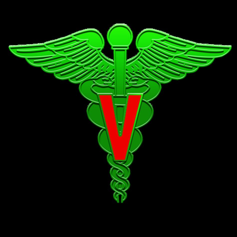 Caduceus Clip Art N9 Free Image Download