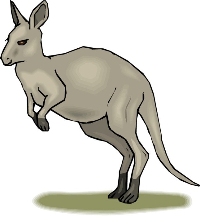 Kangaroo Clip Art N62 free image download