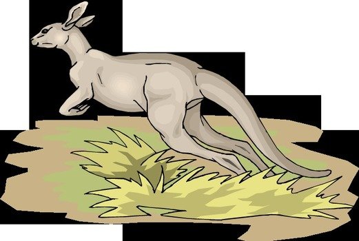 Kangaroo Jumping