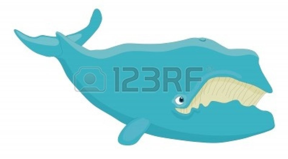 Humpback Whale Cartoon N8