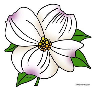 State Of Virginia Dogwood Flower Clip Art