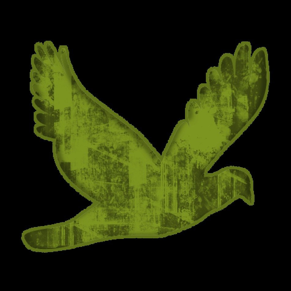 Flying Bird Clip Art N50