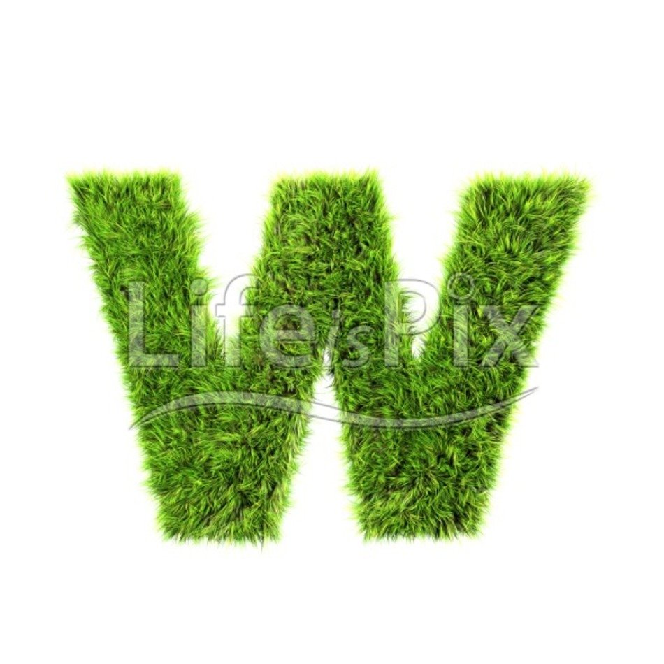 3d Small Grass Letter Isolated On White Background ndash W Royalty