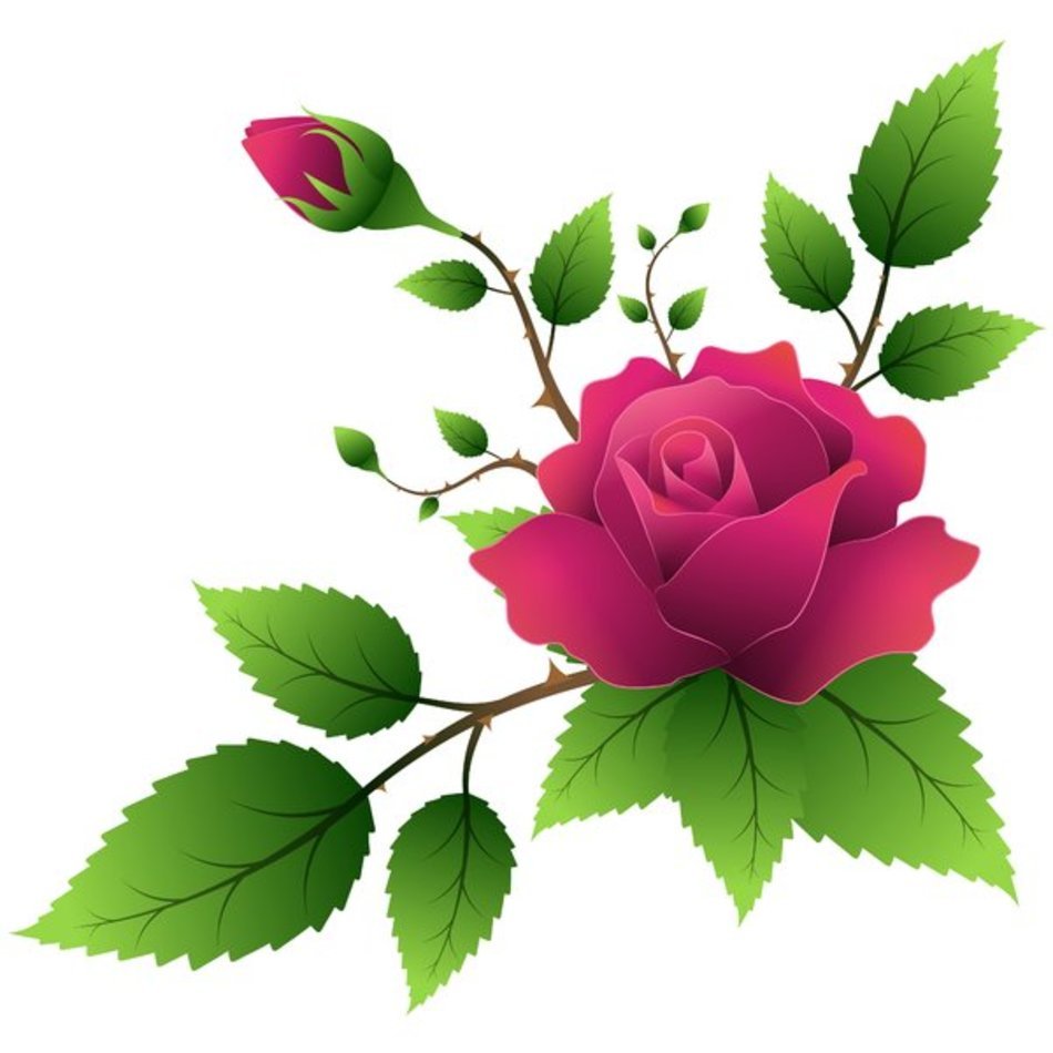 Yellow Rose Flower Clip Art