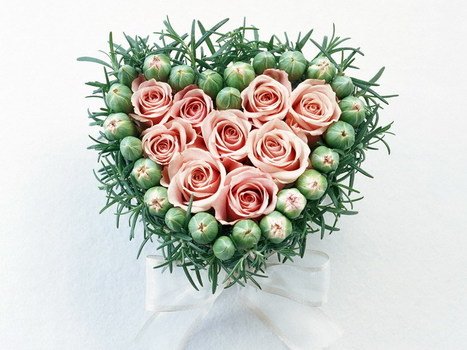 Clipart Saint Valentin Gif Anim eacute Page 1