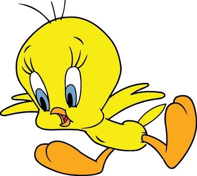Looney Tunes Tweety Bird Cartoons N2