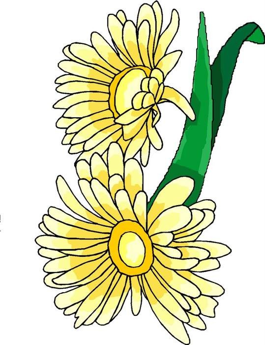 Flowers gold drawing