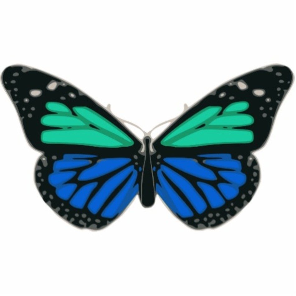 Green Butterfly Clip Art N27