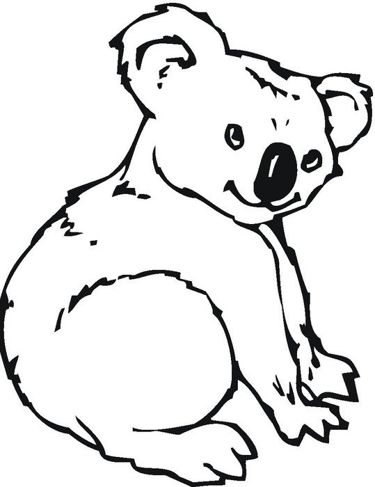Koala as a graphic illustration