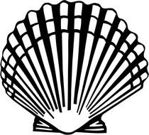 Sea Scallop Shell Clip Art