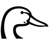 head of a black and white duck as a picture for clipart