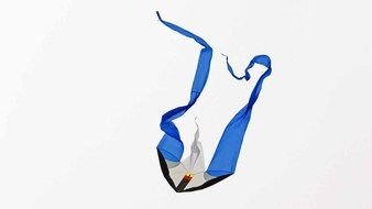 bottom of a swimsuit on a white background