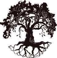 dark Oak Tree drawing
