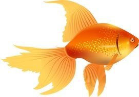 painted goldfish on a white sheet