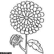 Chrysanthemum By Kevin Henkes N7