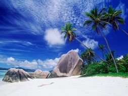 photo of part of a tropical island