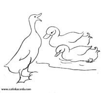 Duck Ping Coloring Page
