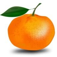 Orange Fruit Clip Art N35
